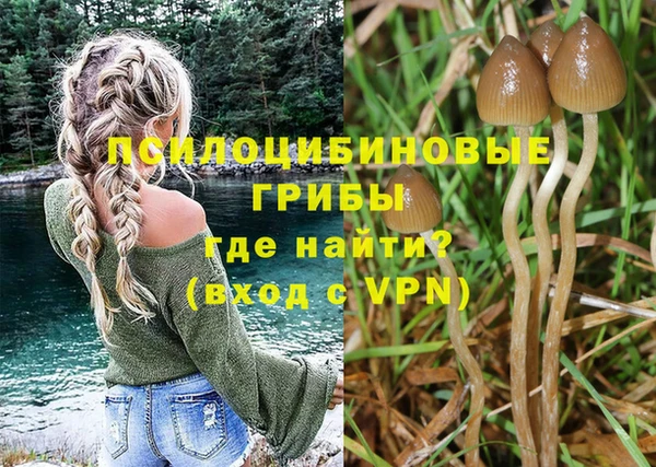 a pvp Армянск