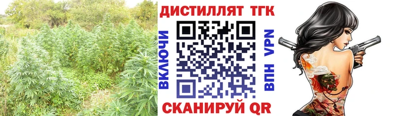 mega как войти Чайковский площадка формула купить закладку Дистиллят ТГК гашишное масло