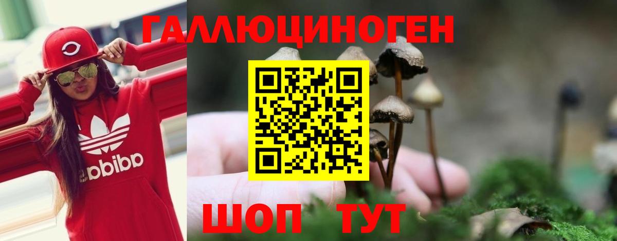Галлюциногенные грибы ЛСД Чайковский