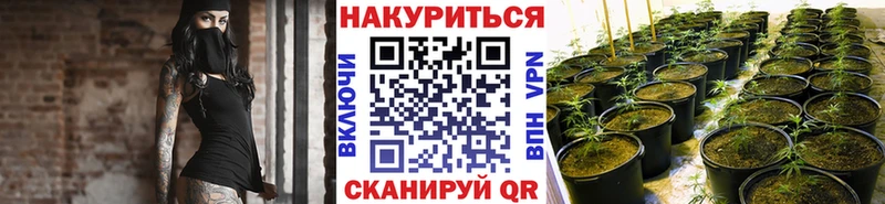 Конопля ГИДРОПОН  Чайковский 
